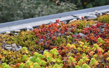 the cost of Bulls Cross green roof installation