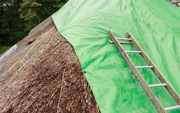 maintaining Bulls Cross thatch