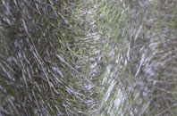 Bulls Cross fibreglass roof work